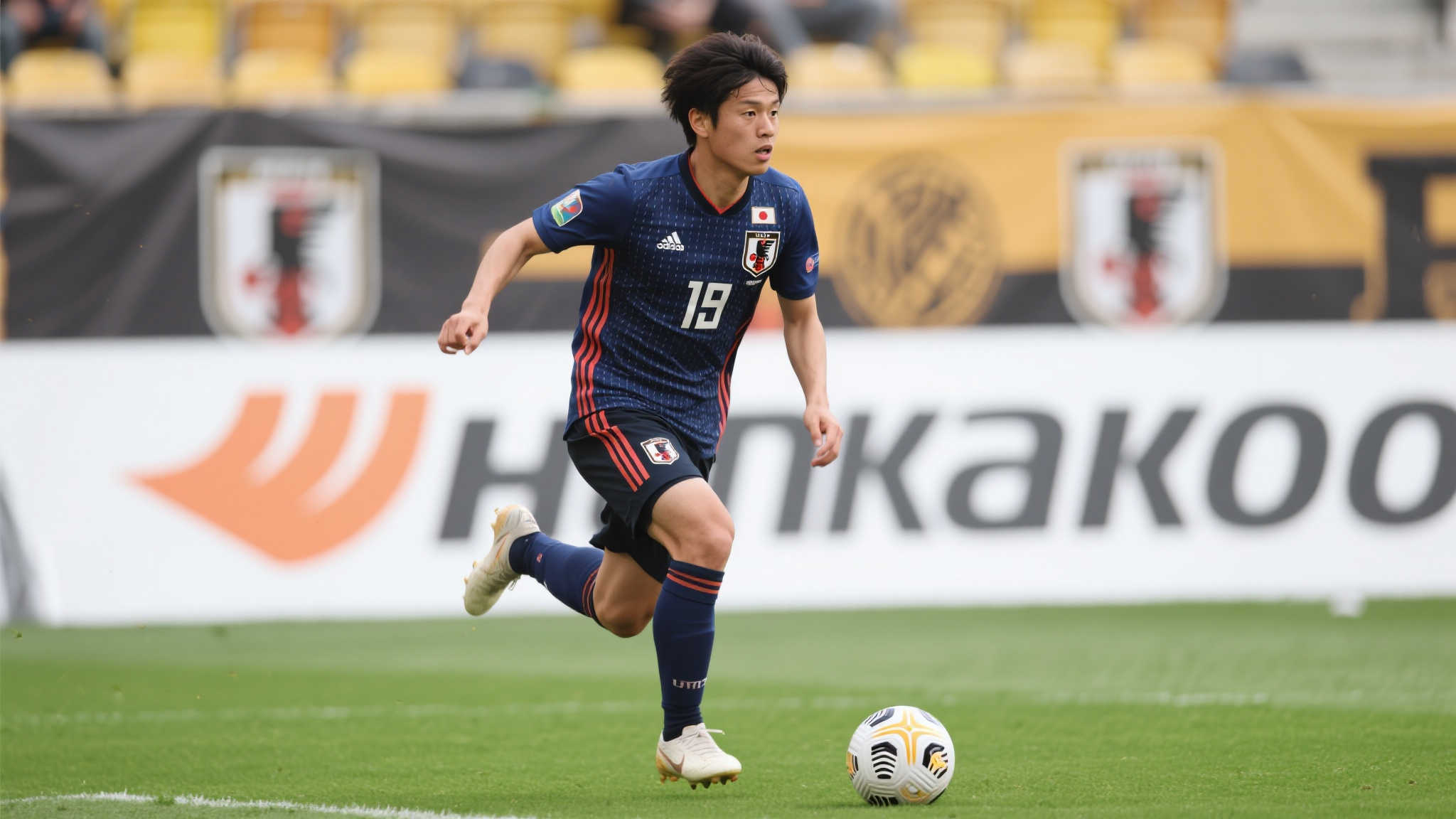 开云体育APP简介